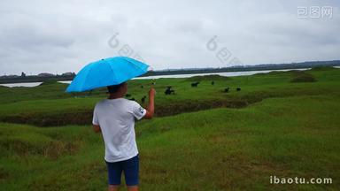 实拍下雨天游客撑伞看风景